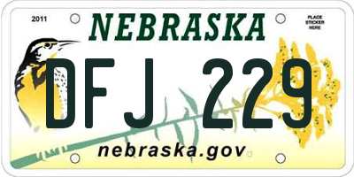 NE license plate DFJ229