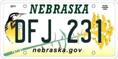 NE license plate DFJ231
