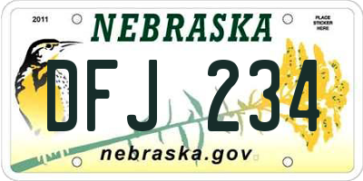 NE license plate DFJ234