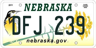 NE license plate DFJ239