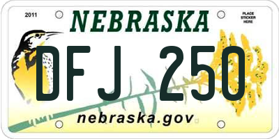 NE license plate DFJ250