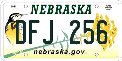 NE license plate DFJ256