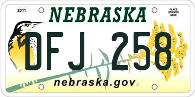 NE license plate DFJ258