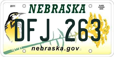 NE license plate DFJ263