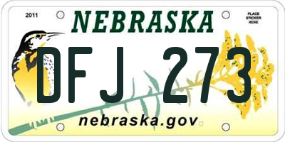 NE license plate DFJ273