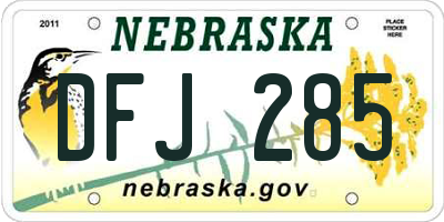 NE license plate DFJ285