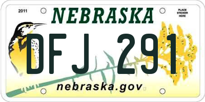 NE license plate DFJ291