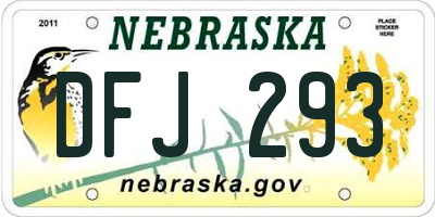 NE license plate DFJ293