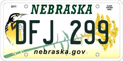 NE license plate DFJ299
