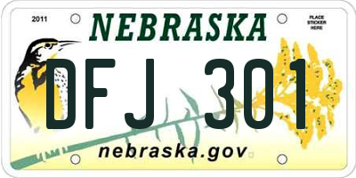 NE license plate DFJ301