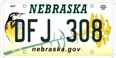 NE license plate DFJ308