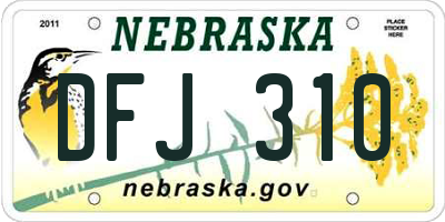 NE license plate DFJ310