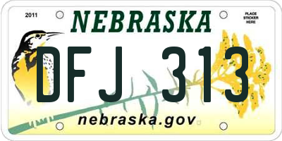 NE license plate DFJ313