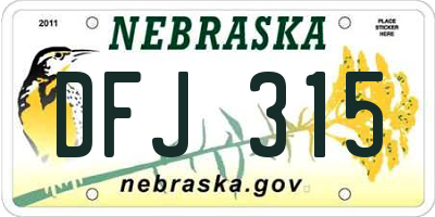 NE license plate DFJ315
