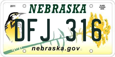 NE license plate DFJ316