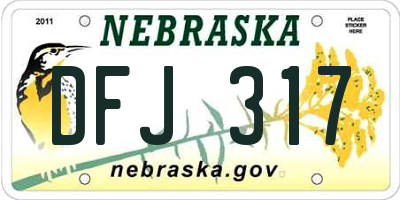 NE license plate DFJ317
