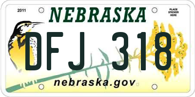 NE license plate DFJ318