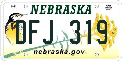 NE license plate DFJ319