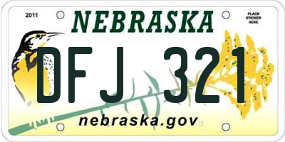 NE license plate DFJ321