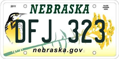 NE license plate DFJ323