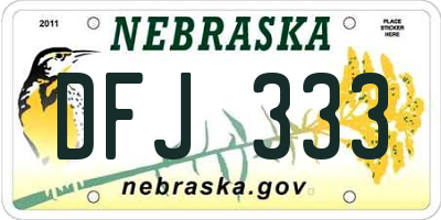 NE license plate DFJ333