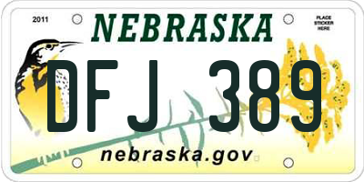 NE license plate DFJ389