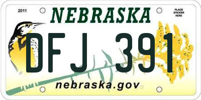NE license plate DFJ391
