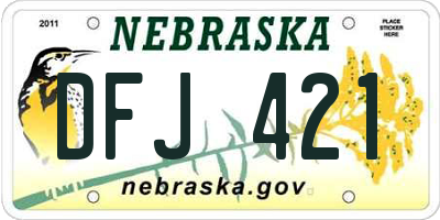 NE license plate DFJ421
