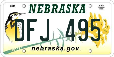 NE license plate DFJ495
