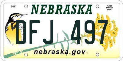NE license plate DFJ497