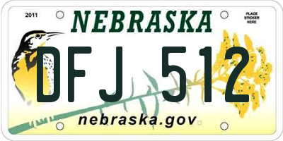 NE license plate DFJ512