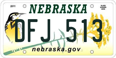 NE license plate DFJ513