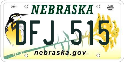 NE license plate DFJ515