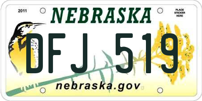 NE license plate DFJ519