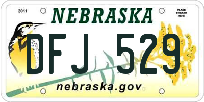 NE license plate DFJ529