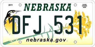 NE license plate DFJ531
