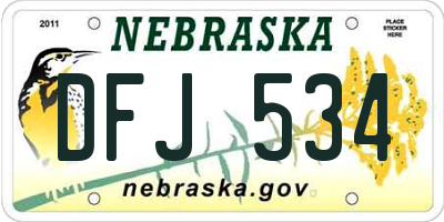 NE license plate DFJ534