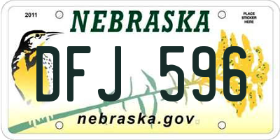NE license plate DFJ596