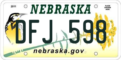 NE license plate DFJ598
