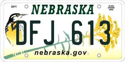 NE license plate DFJ613