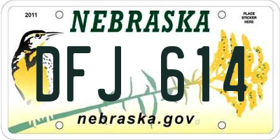 NE license plate DFJ614