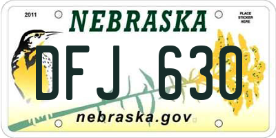 NE license plate DFJ630
