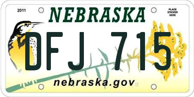 NE license plate DFJ715