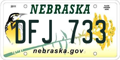 NE license plate DFJ733