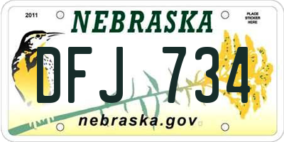 NE license plate DFJ734
