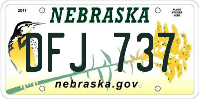 NE license plate DFJ737