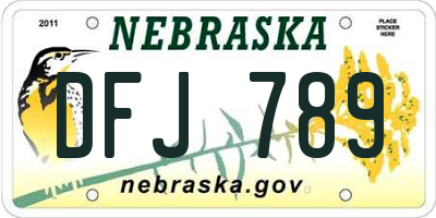 NE license plate DFJ789