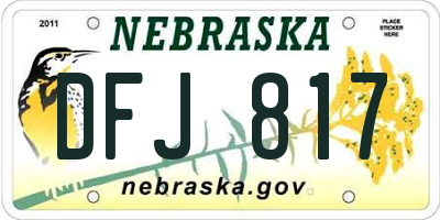 NE license plate DFJ817