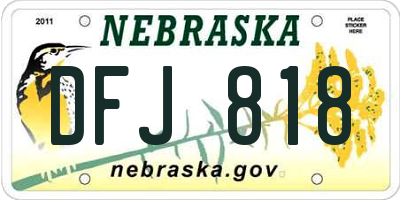 NE license plate DFJ818