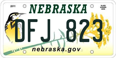 NE license plate DFJ823